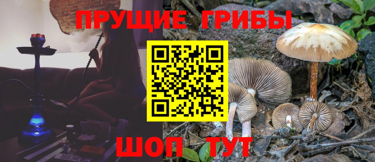 Галлюциногенные грибы мицелий Саянск