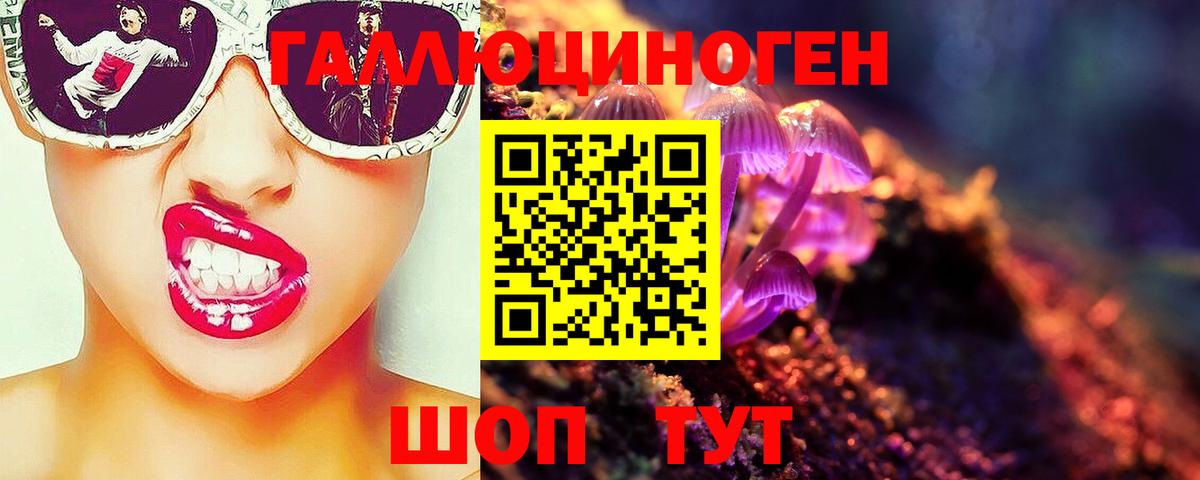 Псилоцибиновые грибы MAGIC MUSHROOMS  Вход с VPN  Саянск  Псилоцибиновые грибы мухоморы 